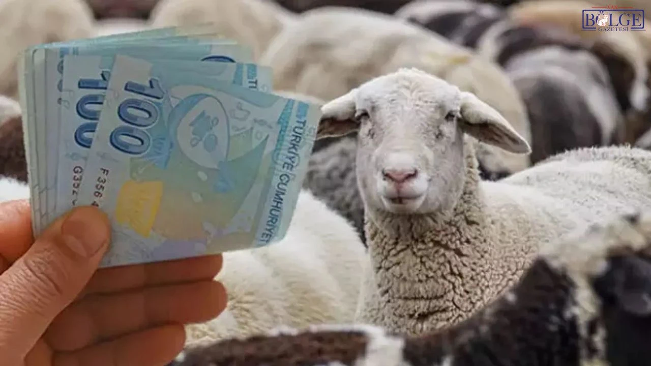 Hayvancılara Yıllık 180 Bin TL Bakım Desteği!